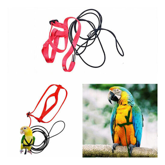 Bird Harness Adjustable Parrot Leash Bird Rope Anti Bite for All Kinds of Par-dr image {1}