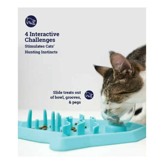 Hunt N' Snack Mat Cat Slow Feeder Kitten Bowl Interactive Challenges  image {2}