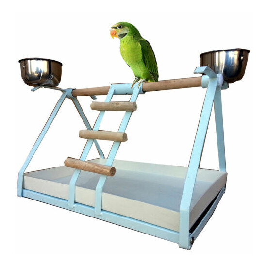 BIRD SMALL PARROT METAL PLAYSTAND Play Gym With Stainless Steel Cups -293 image {1}