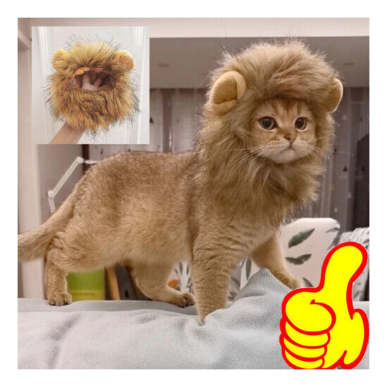 Furry Pet Hat Costume Lion Mane Wig For Cat Halloween Ears With Dress Up H9J2 image {2}