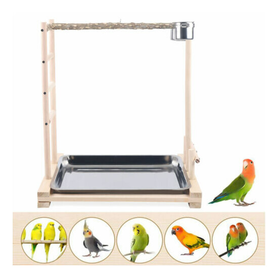 Pet Bird Standing Bar Parrot Toy Tree Climbing Game Playing Cage with 2 Cups USA image {1}