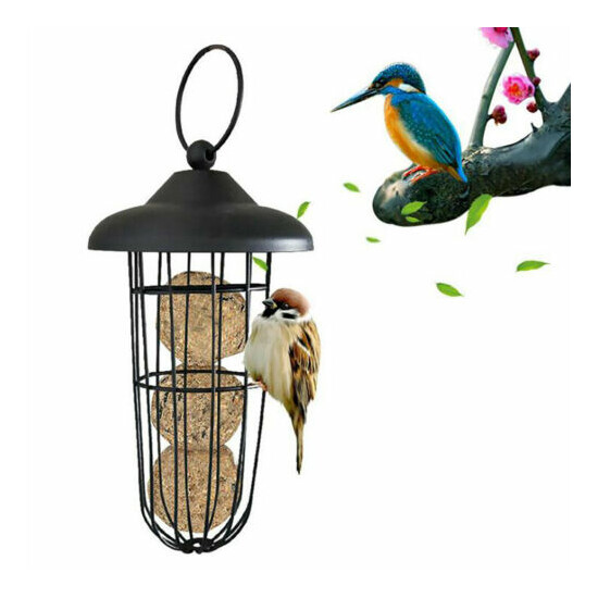 7.8''Hanging bird feeder garden wild seed container anti-lantern shape outdoor image {3}