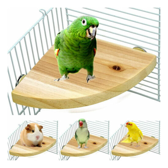 1* Pet Bird Parrot Wood Platform Stand Rack Toy Hamster Branch Perches 13*13CM image {2}