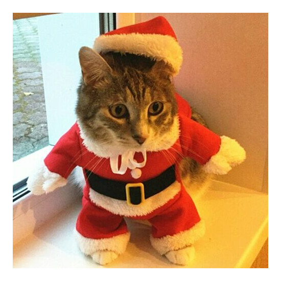 Funny Santa Claus Clothes For Small Cats Dogs Xmas New Year Pet Cat Cloth Outfit image {1}