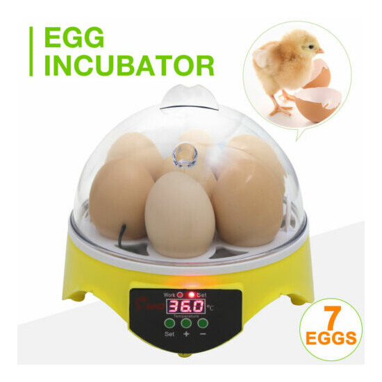 Mini Incubadora Automática de Huevos de Gallina Pato para 7 Huevos Fácil de Usar image {1}