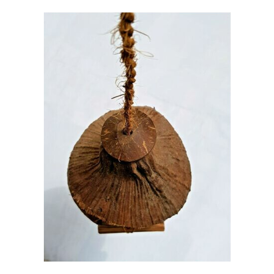 Hand Made Natural Coconut Shell Birds Nest House Cage Feeder From Sri Lanka image {3}