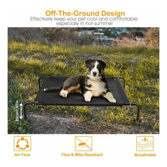 Elevated Dog Bed Lounger Sleep Pet Cat Raised Cot Hammock for Indoor Outdoor US image {4}
