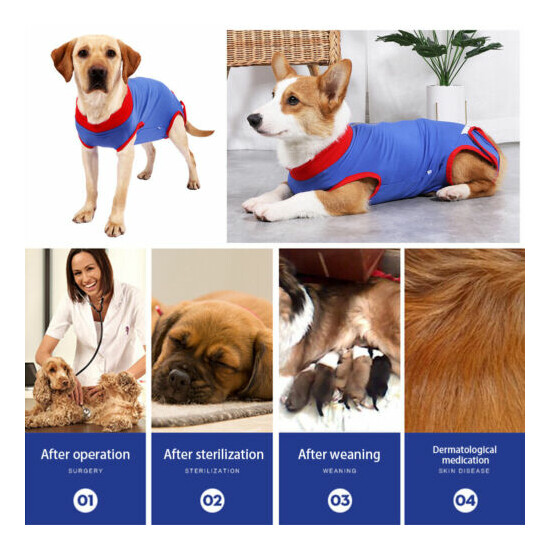 Recovery Suit Anti Licking Dog Supplies Portable Soft Pet Wound Protection image {8}