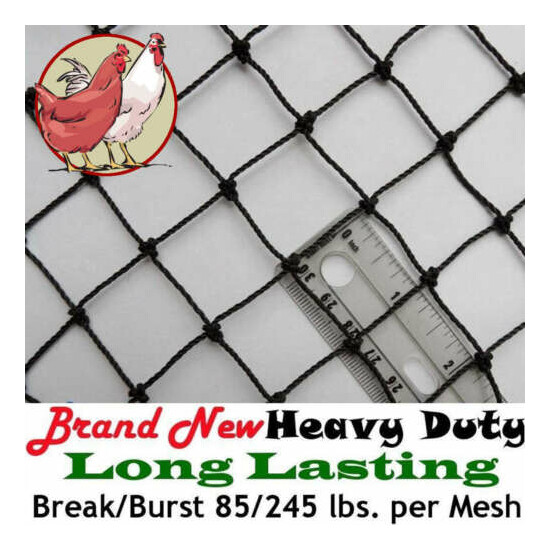 Poultry Netting 25' x 25' 1" Heavy Knotted Aviary Nets Anti Bird Pheasant Net image {1}