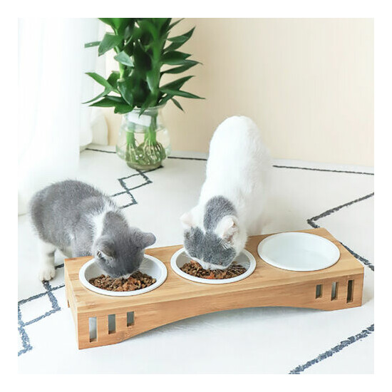Pet Dog Cat Feeding Station Ceramics Bowls 3 Dish Food Water Bowl w/ Stand 400mL image {1}