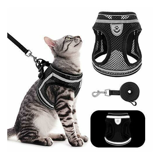 PUPTECK Breathable Cat Harness and Leash Set - Escape Proof Cat Vest Harness ... image {1}
