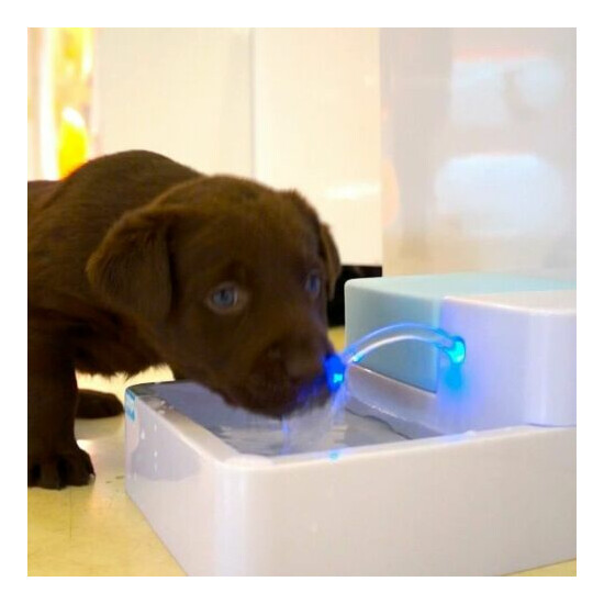 1.8L Automatic Cat Water Fountain 12V Safe Pet Drinking Filter Bowl With LED+UV image {2}