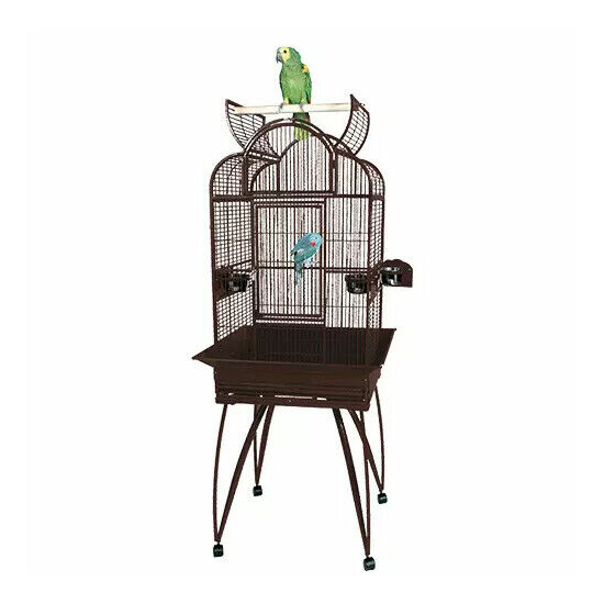 King's Cages SLT4 2217 Small Parrot Bird Cage 22X17X63 Toys Cockatiel Budgies image {3}