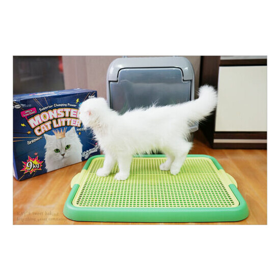 Alpha Dog Series - Plastic Mesh Cat Litter Trapper Trays image {4}