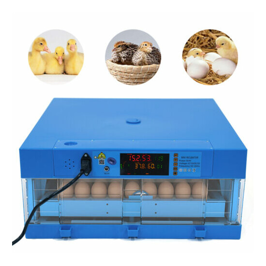 64 Groove Egg Incubator Fully Digital Automatic Hatcher for Hatching Chicken image {2}
