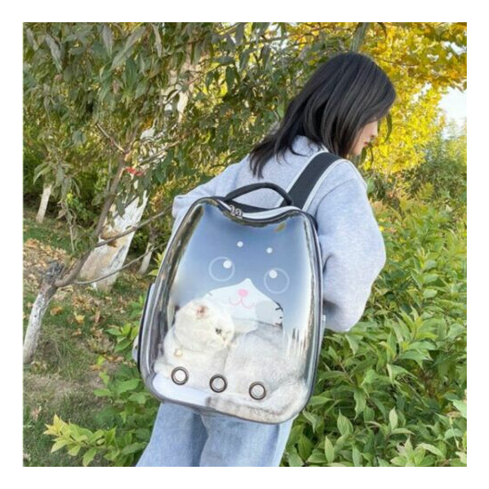 Portable Cat Carrier Bag Puppy Transparent Capsule Travel Backpack Pet Supplies image {3}