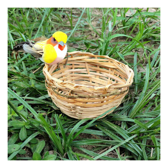 Bird's Nest Toys, Canary Cage Toys Parrot Canary Natural Bamboo image {2}
