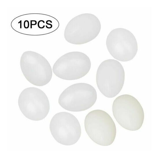 10pcs Solid Plastic Eggs Dummy Eggs For pigeons white color image {2}