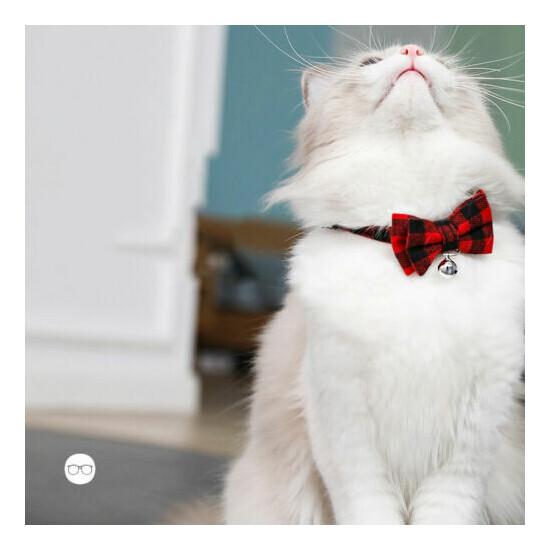 Kitten Collar with Bell bow Breakaway Adjustable Cats Collar Pet SuppliCG image {1}