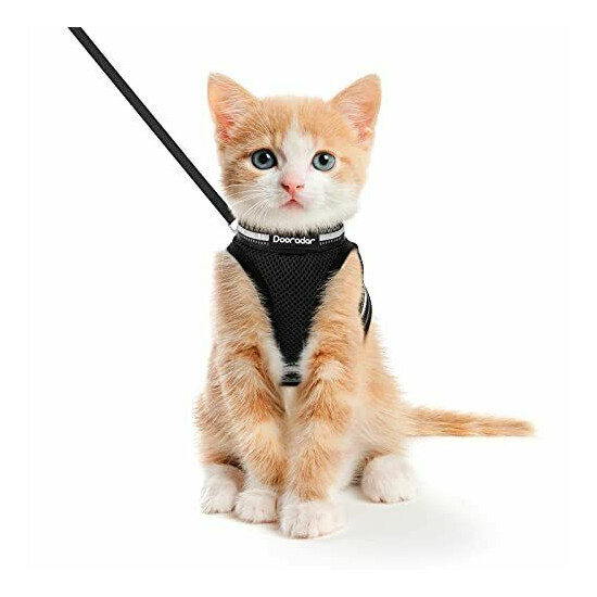 Dooradar Cat Harness and Leash Adjustable Step-in Escape Proof Kitten Harness... image {1}