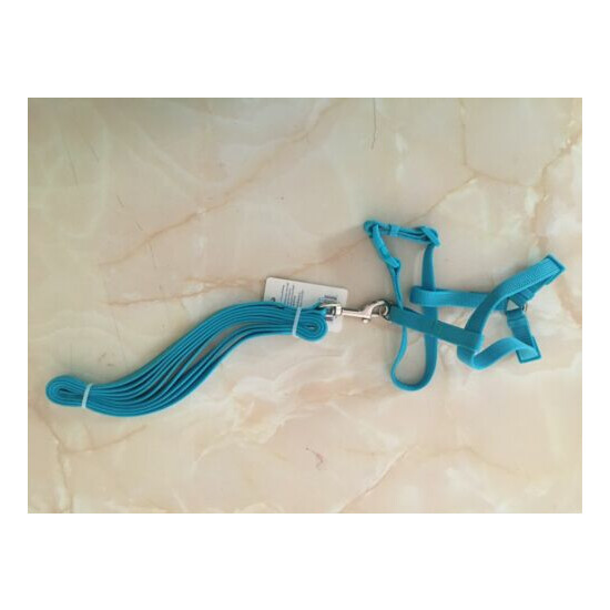 NEW Great Choice Light Blue Cat Harness  image {1}