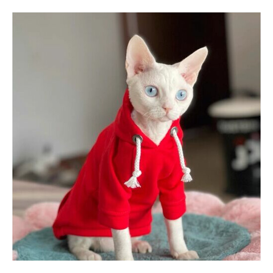 sphynx cat red cotton 2-legged hoodie size XS (brand new) image {1}