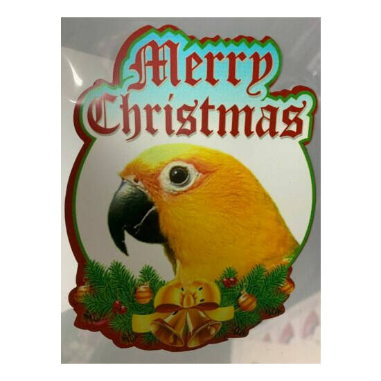 Jenday Conure / Jandaya Parakeet Parrot Exotic Bird Christmas Stockings image {2}