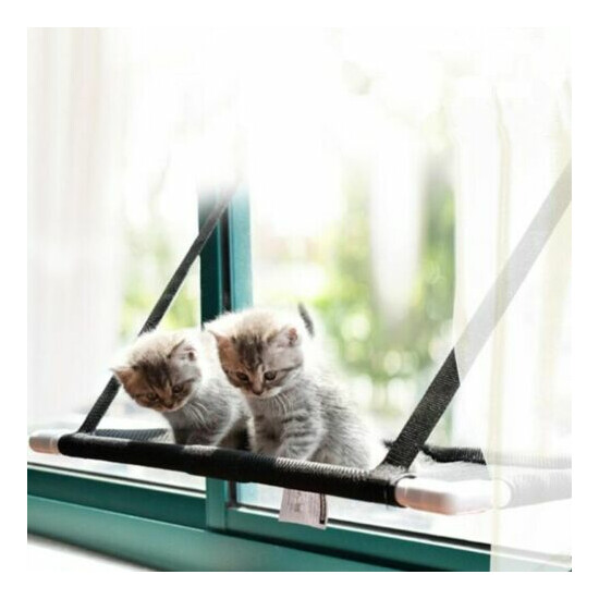 Kitten Hammock Bed Mount Window 10kg Cat Pet Bed Mat Window Suction Lounger Sofa image {2}