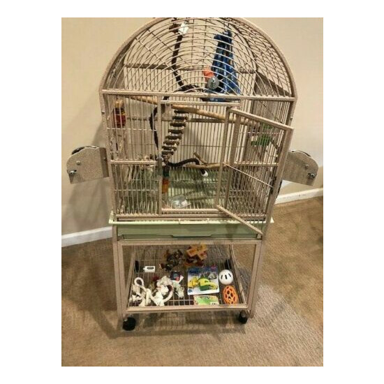 Bird cage with stand. Overall 18 x 24 x 53 dome top beige. Includes toys shown image {3}