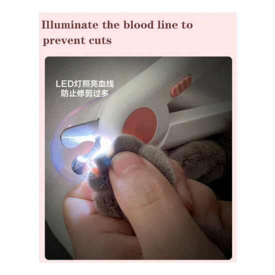 Cat Dog Nail Clippers Blood Proof LED Lamp Nail Set Novice Pet Grooming Supplies image {4}