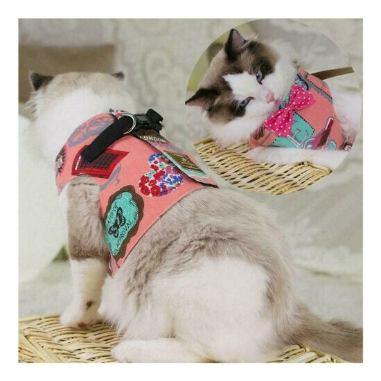 Indian Escape Proof Cat Vest Harness and Leash Set Leads For Small Medium Large image {1}