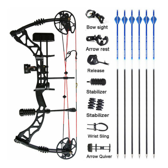 Compound Bow Arrow Kit 30-70lbs 329fps Archery Hunting Shooting Target image {1}