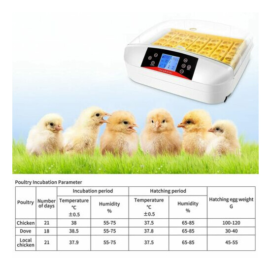42 Egg Incubator Digital Automatic Hatcher Hatching Chicken Duck with LED Light image {4}