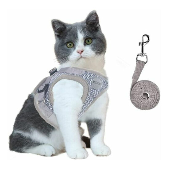 Micooyo Pet Cat Dog Harness Leash Set Walking Vest 13.7" - 15.8" Chest Gray image {1}