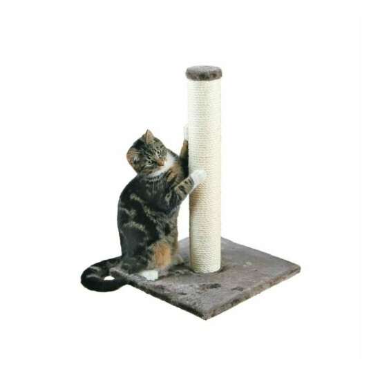 Sisal Scratching Posts & Small cat Trees Young & Adult Cats Sturdy Base Durable image {3}