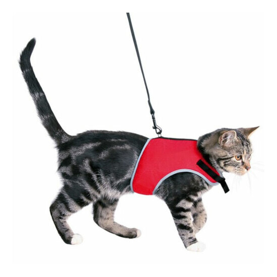 Trixie Cat Soft Harness with Lead Leash Reflective Adjustable Large XL Soft Mesh image {3}