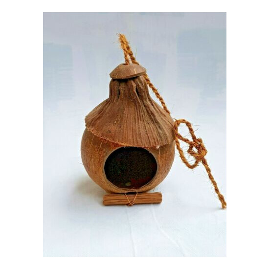 Hand Made Natural Coconut Shell Birds Nest House Cage Feeder From Sri Lanka image {2}