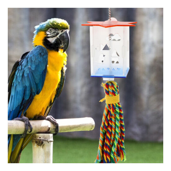 Bird Foraging Feeder with Swing Toy for Parrots Anchovies Parakeets Cockatiel image {3}