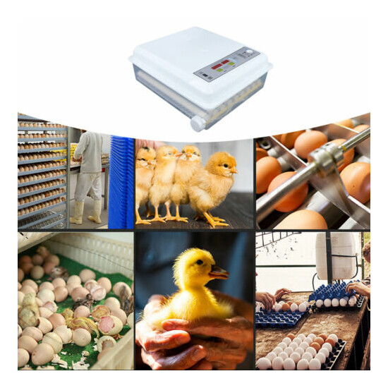 Automatic 64 Digital Egg Hatcher Machine Incubator 110v & 12VTemperature Control image {2}