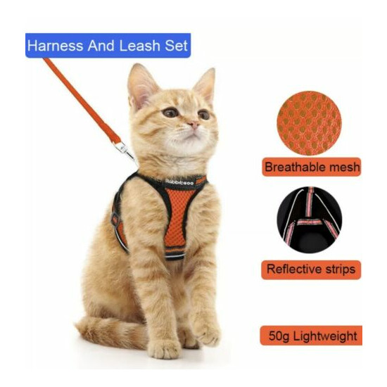 Cat Rabbit Pet Harness And Leash Set Vest Escape Proof Adjustable Walking SZ M image {1}