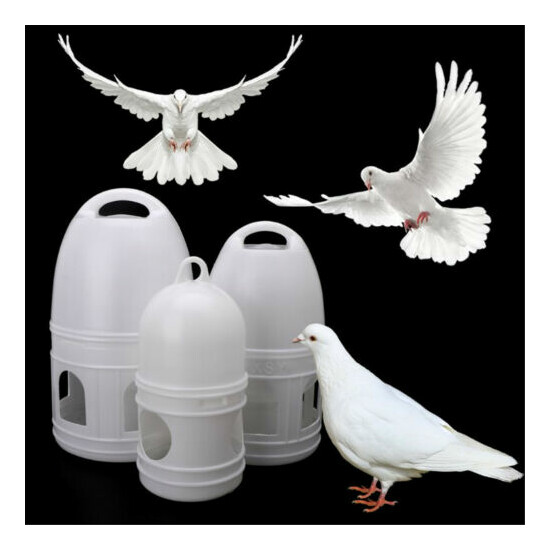 Pigeons Feeder Plastic Water Pot Pet Drinker Dispenser Container Birds Supplies image {1}