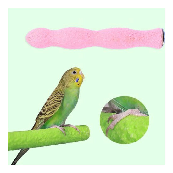 20cm Bird Parrots Perch Grinding Nail Perches for Parakeet Cockatoo Pet Supplies image {3}