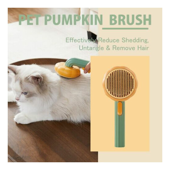 Pumpkin Pet Comb Pumpkin Design Cat Groomer Brush image {1}