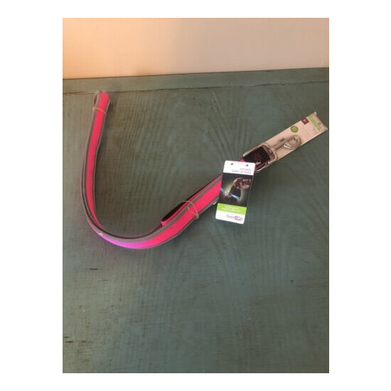  Good2Go LED Light-Up Leash for Dogs - Pink, 5 ft. image {1}