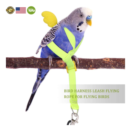 POPETPOP Adjustable Parrot Harness Leash - Pet Bird Harness and Leash - Adorable image {8}