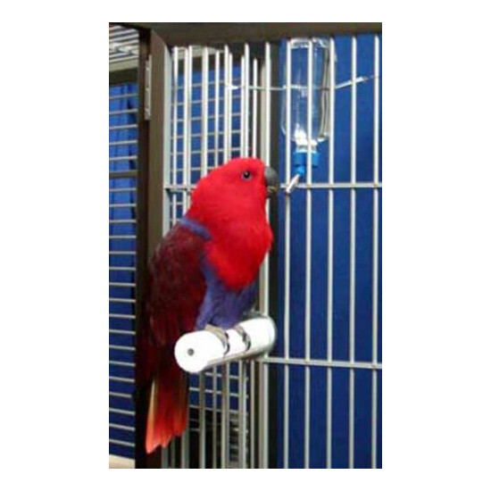 BEST Parrot Bird PERCH 3/4 x 5 inch indestructIble textured stone trims nails image {5}