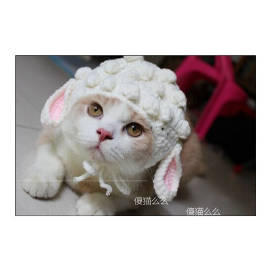 Pet Kitten Woolen Cap Knitted Cosplay sheep Cap For Cat Holiday Party Accessory image {3}