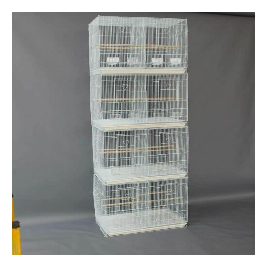 Seny 4 Breeding Bird Carrier Cage with Dividor for Parakeet Canary Finch  image {4}