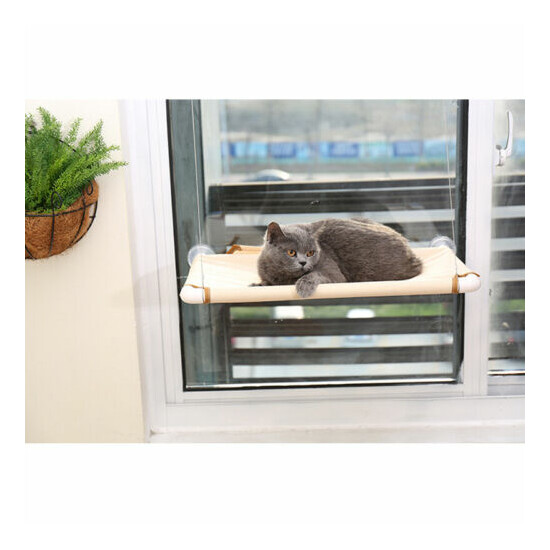 Window Mounted Pet Cat Durable Seat Hammock Perch Bed Sunshine Cushio image {5}