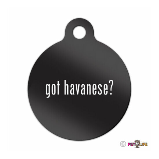 Got Havanese Engraved Keychain Round Tag w/tab #2 blanquito Many Colors image {1}